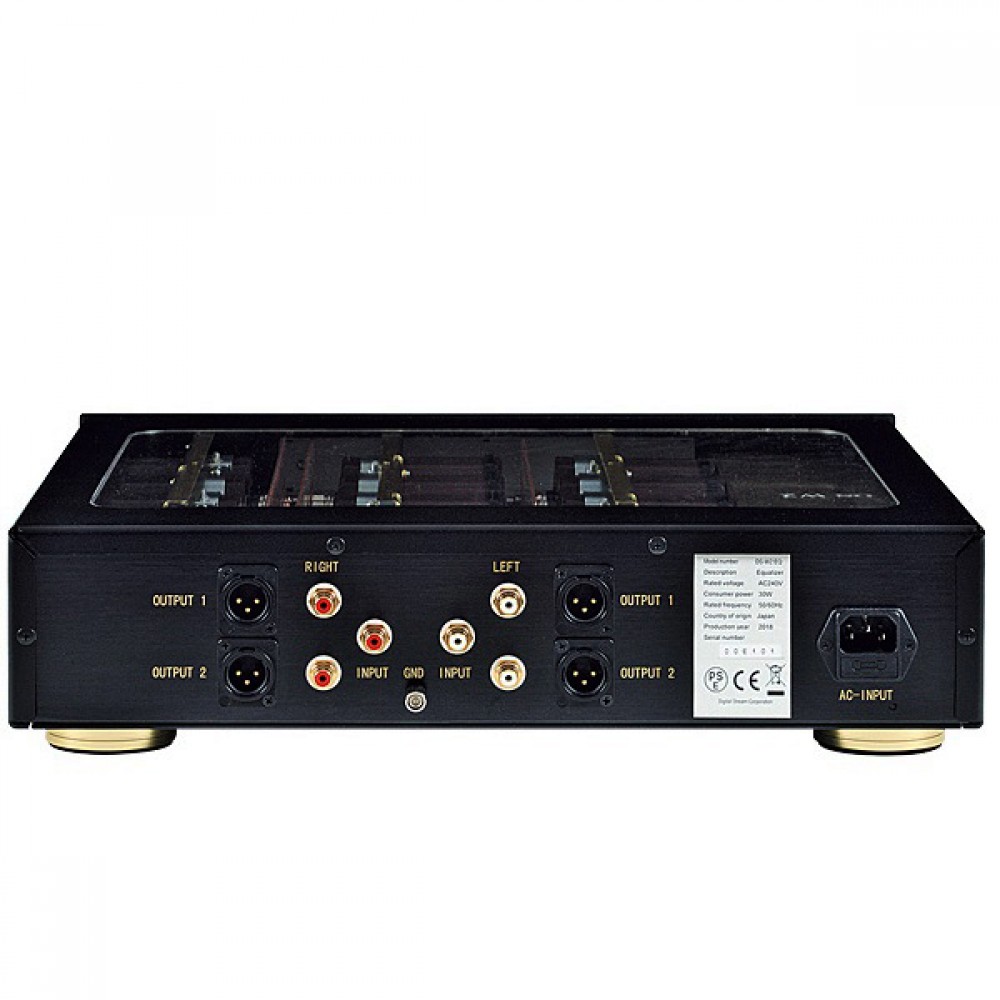 DS Audio DS-W2 System