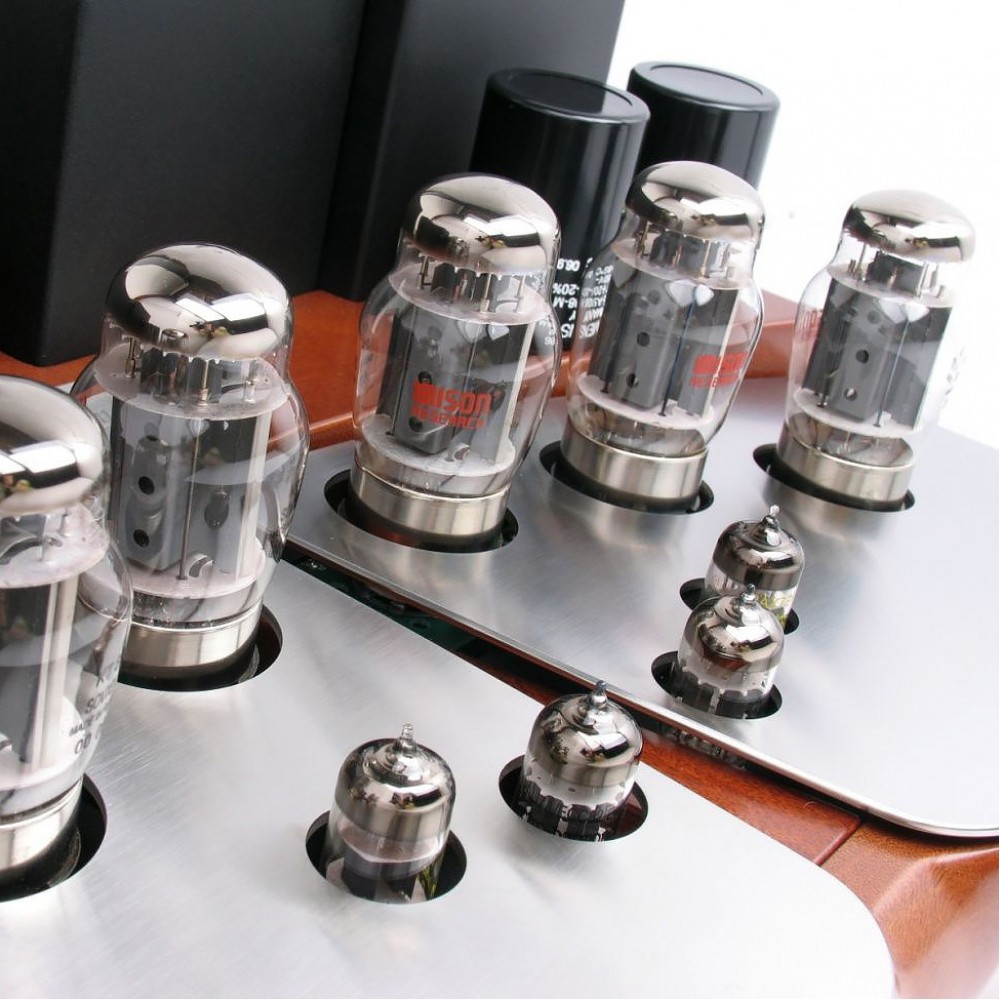 Unison Research Performance Integrated Valve AmplifierCaoba