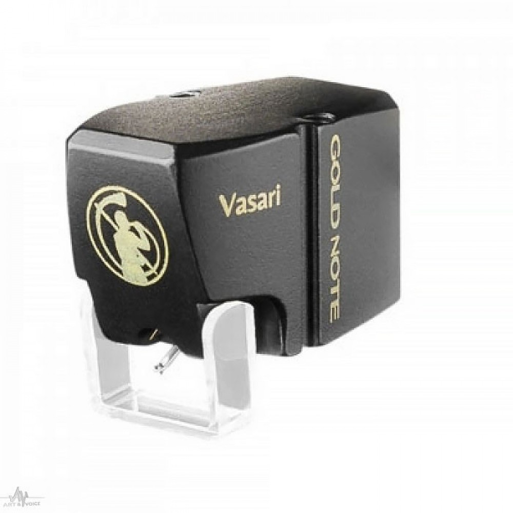 Rega Planar 3 + Gold Note Vasari Gold CartridgeNoir brillant